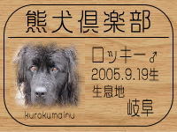 �I�[�i�[�́A��������ł���